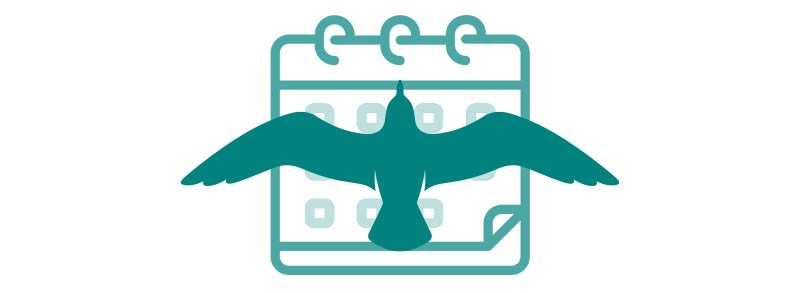 calendar icon with sea gull silouette