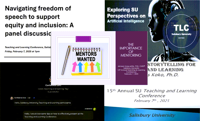 Pictures of TLC session power point presentations 