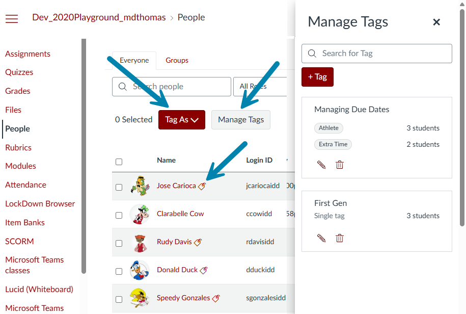 Using the Tag feature in the People tab to create sets of students