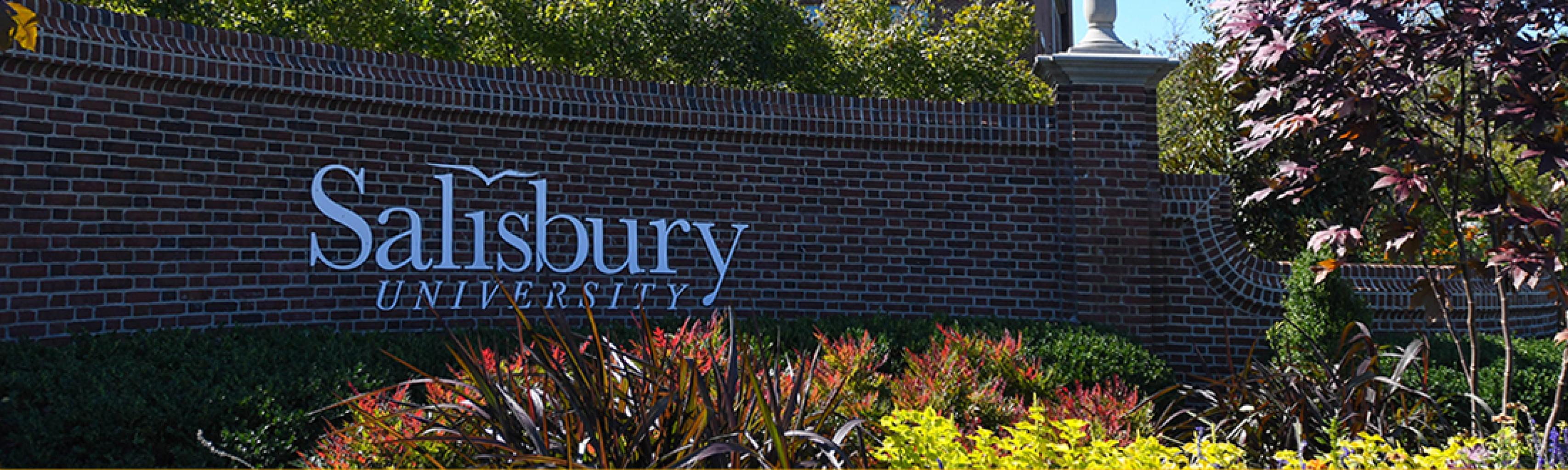 Picture of Salisbury University school sign with landscaping filled with flowers and tree 
