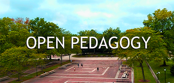 Open Pedagogy