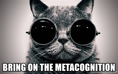 "Bring on the metacognition" meme with a cat ready to face challenges