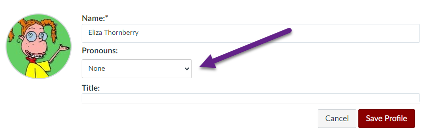 Preferred display name box