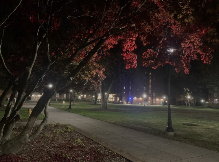 Picture of SU courtyard at night time.