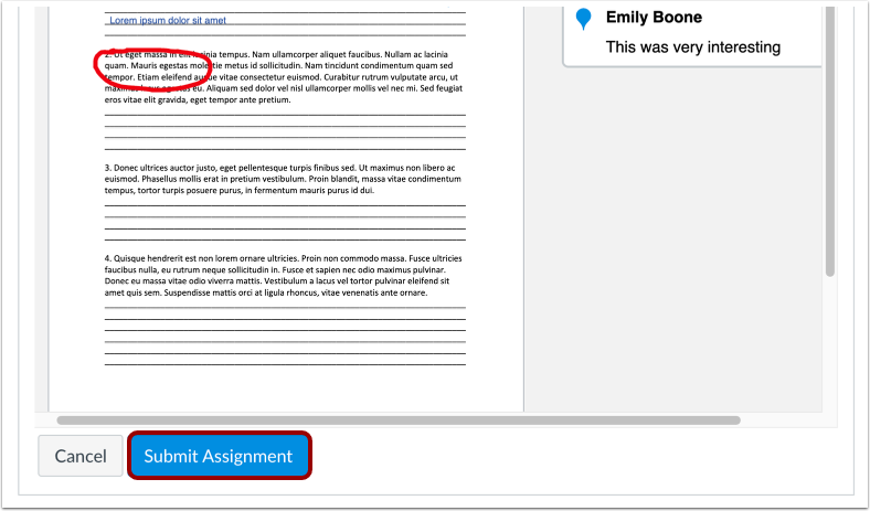 Example document annotated with a red circle and comment with the submit assignment option.
