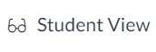 MyClasses Canvas Student View button with text and glasses icon