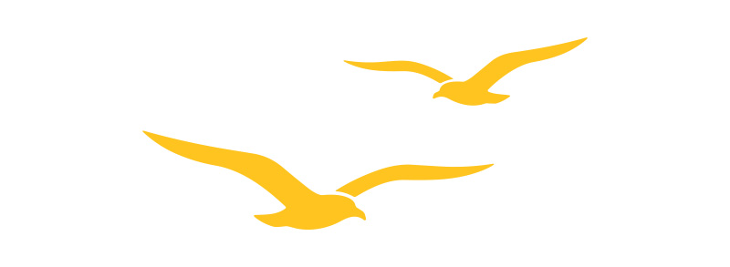 Two flying sea gull silouette